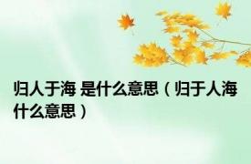 归人于海 是什么意思（归于人海什么意思）
