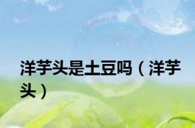 洋芋头是土豆吗（洋芋头）