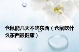 仓鼠能几天不吃东西（仓鼠吃什么东西最健康）