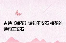 古诗《梅花》诗句王安石 梅花的诗句王安石