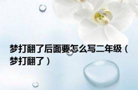 梦打翻了后面要怎么写二年级（梦打翻了）
