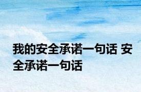 我的安全承诺一句话 安全承诺一句话