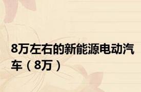 8万左右的新能源电动汽车（8万）