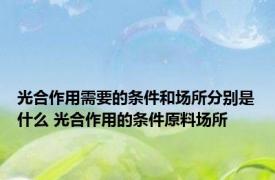 光合作用需要的条件和场所分别是什么 光合作用的条件原料场所