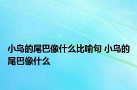 小鸟的尾巴像什么比喻句 小鸟的尾巴像什么