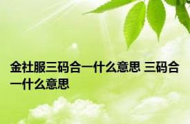 金社服三码合一什么意思 三码合一什么意思