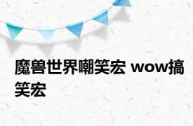 魔兽世界嘲笑宏 wow搞笑宏 