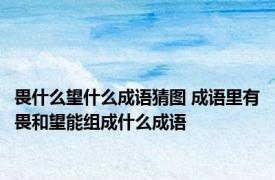 畏什么望什么成语猜图 成语里有畏和望能组成什么成语