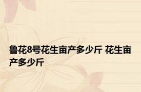 鲁花8号花生亩产多少斤 花生亩产多少斤
