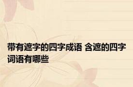 带有遮字的四字成语 含遮的四字词语有哪些