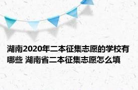 湖南2020年二本征集志愿的学校有哪些 湖南省二本征集志愿怎么填