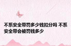 不系安全带罚多少钱扣分吗 不系安全带会被罚钱多少