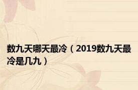 数九天哪天最冷（2019数九天最冷是几九）
