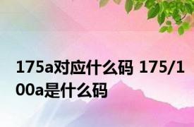 175a对应什么码 175/100a是什么码