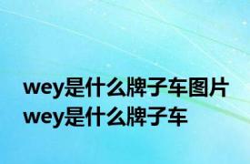 wey是什么牌子车图片 wey是什么牌子车