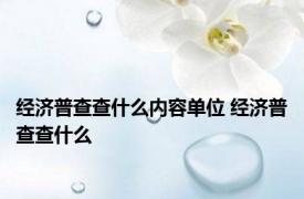 经济普查查什么内容单位 经济普查查什么