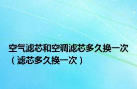 空气滤芯和空调滤芯多久换一次（滤芯多久换一次）