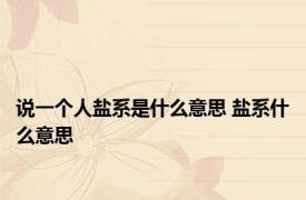 说一个人盐系是什么意思 盐系什么意思