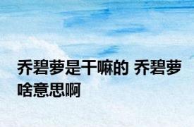 乔碧萝是干嘛的 乔碧萝啥意思啊