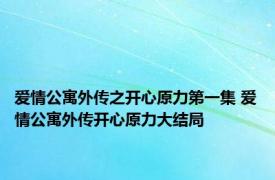 爱情公寓外传之开心原力第一集 爱情公寓外传开心原力大结局