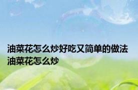 油菜花怎么炒好吃又简单的做法 油菜花怎么炒