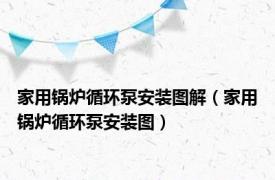 家用锅炉循环泵安装图解（家用锅炉循环泵安装图）
