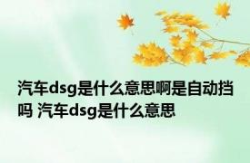 汽车dsg是什么意思啊是自动挡吗 汽车dsg是什么意思