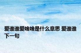 爱谁谁爱啥啥是什么意思 爱谁谁下一句