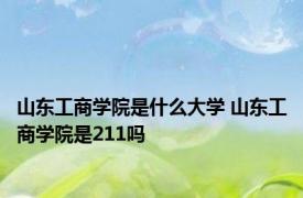 山东工商学院是什么大学 山东工商学院是211吗