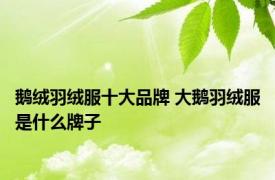 鹅绒羽绒服十大品牌 大鹅羽绒服是什么牌子