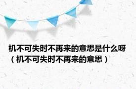 机不可失时不再来的意思是什么呀（机不可失时不再来的意思）