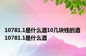 10781.1是什么酒10几块钱的酒 10781.1是什么酒