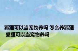 狐狸可以当宠物养吗 怎么养狐狸 狐狸可以当宠物养吗