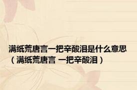 满纸荒唐言一把辛酸泪是什么意思（满纸荒唐言 一把辛酸泪）