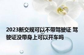 2023新交规可以不带驾驶证 驾驶证没带身上可以开车吗