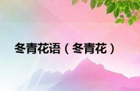 冬青花语（冬青花）