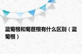 蓝菊根和菊苣根有什么区别（蓝菊根）