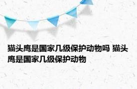 猫头鹰是国家几级保护动物吗 猫头鹰是国家几级保护动物