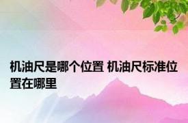 机油尺是哪个位置 机油尺标准位置在哪里