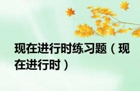 现在进行时练习题（现在进行时）
