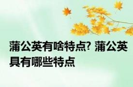 蒲公英有啥特点? 蒲公英具有哪些特点