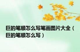 巨的笔顺怎么写笔画图片大全（巨的笔顺怎么写）