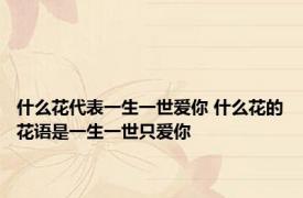 什么花代表一生一世爱你 什么花的花语是一生一世只爱你