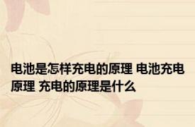 电池是怎样充电的原理 电池充电原理 充电的原理是什么