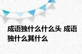 成语独什么什么头 成语独什么其什么