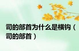 司的部首为什么是横钩（司的部首）