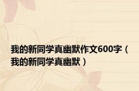 我的新同学真幽默作文600字（我的新同学真幽默）