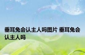 垂耳兔会认主人吗图片 垂耳兔会认主人吗