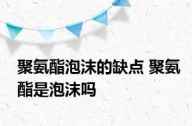 聚氨酯泡沫的缺点 聚氨酯是泡沫吗