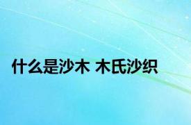 什么是沙木 木氏沙织 